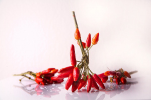 Peperoncino