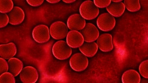 L'anemia: cause, sintomi e i rimedi omeopatici per il suo trattamento