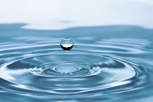 Polemica tra esperti, l'equipe del premio nobel Montagnier prende posizione sulle ricerche sulla memoria dell'acqua