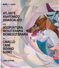 Atlante anatomico didascalico per Agopuntura Mesoterapia Biomesoterapia su Cavallo Cane Bovino Suino     
